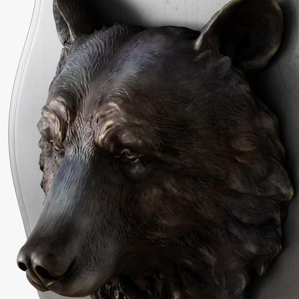 Bear head 3D model_4