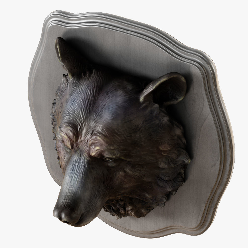 Bear head 3D model_3
