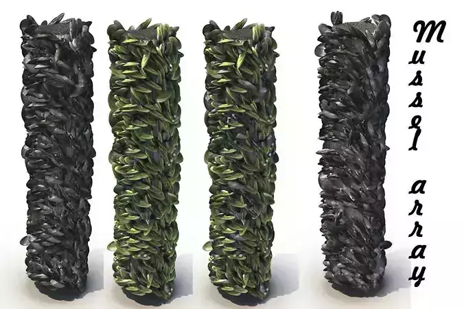Mussel array 3D model
