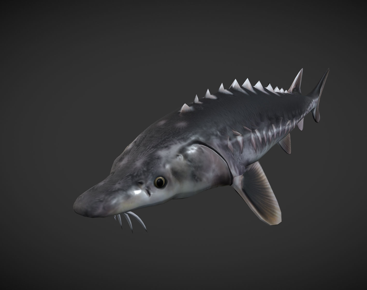 Shark fish with spikes Low-poly 3D model_1