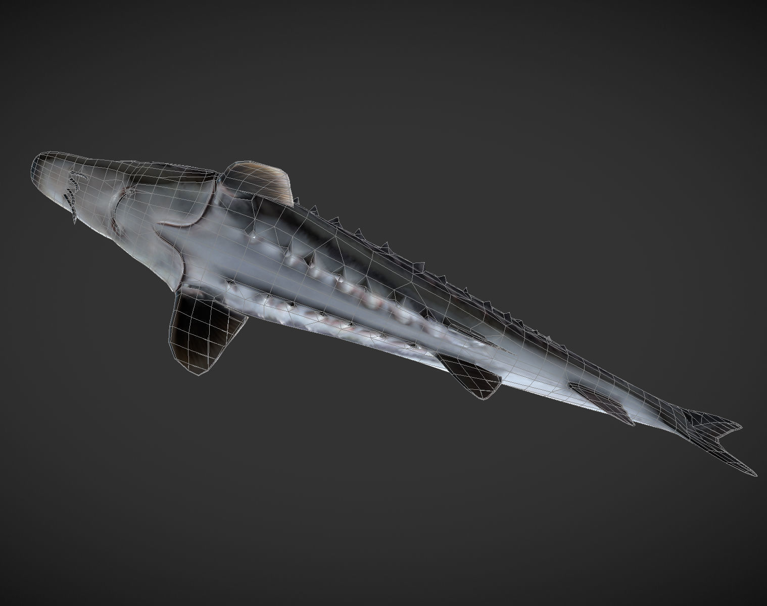 Shark fish with spikes Low-poly 3D model_6