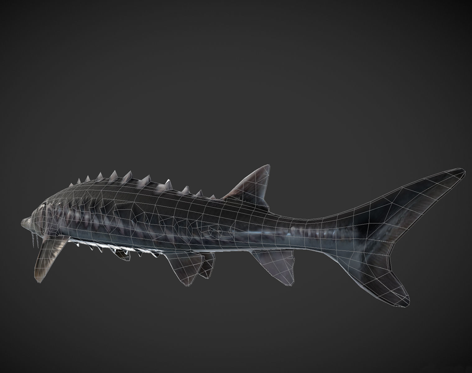 Shark fish with spikes Low-poly 3D model_7