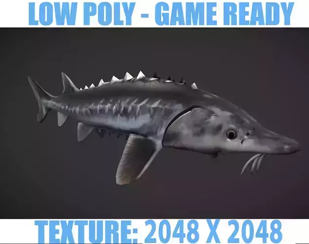 Shark fish with spikes