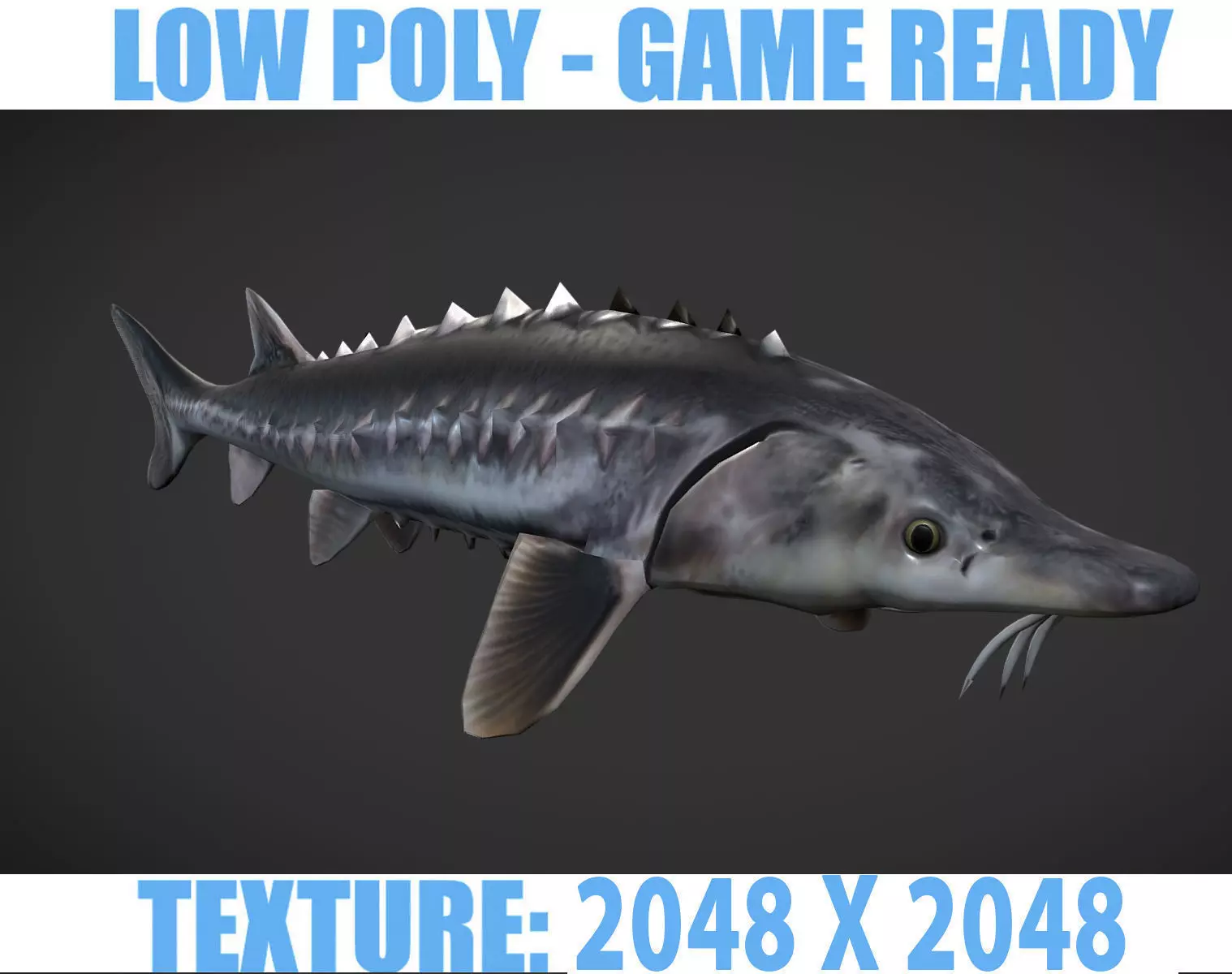 Shark fish with spikes Low-poly 3D model_0