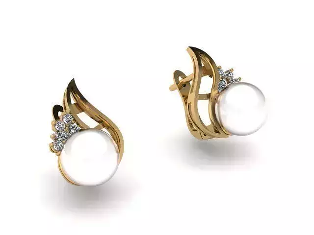 Earrings T00619