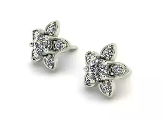 Earrings T00624