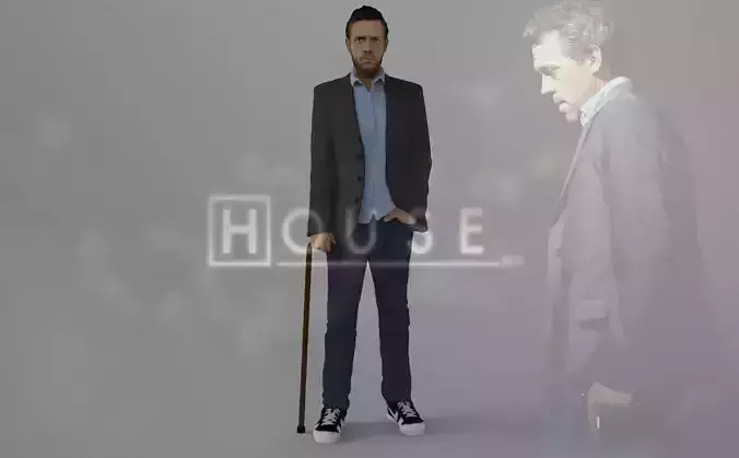 MD Gregory House ready for full color 3D printing 3D print model