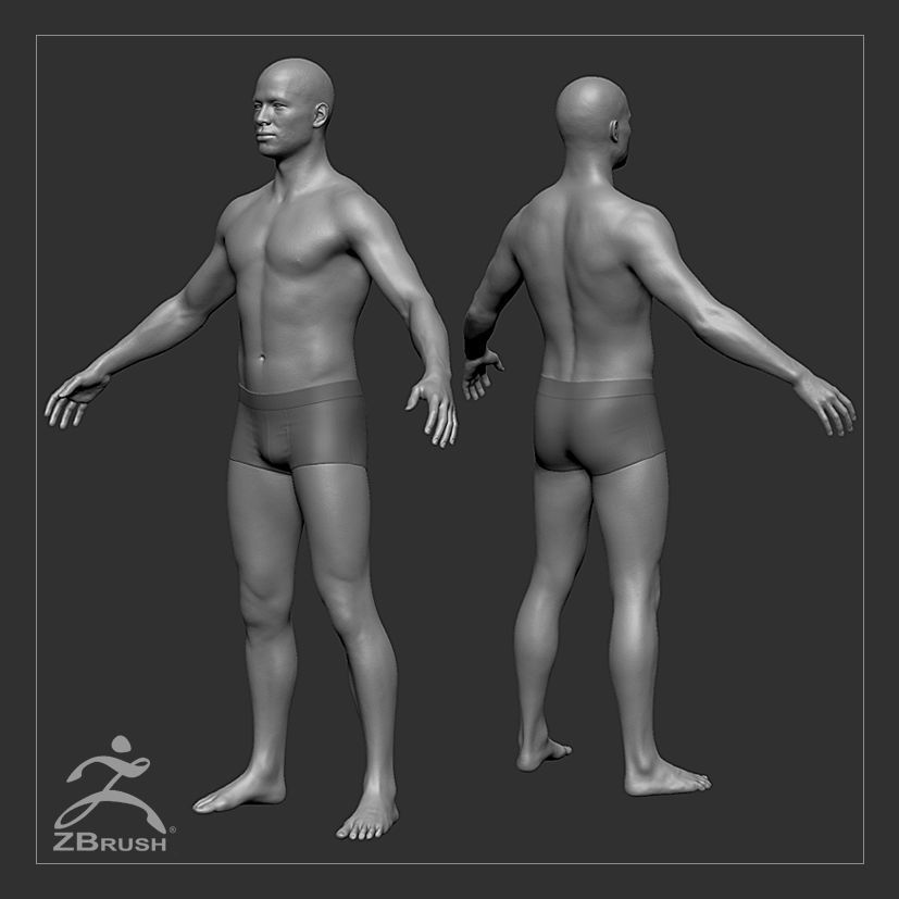 Average Male Body Basemesh 3D model_1