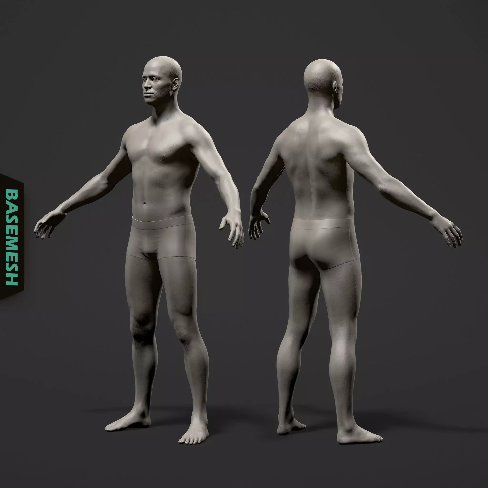 Average Male Body Basemesh 3D model_0