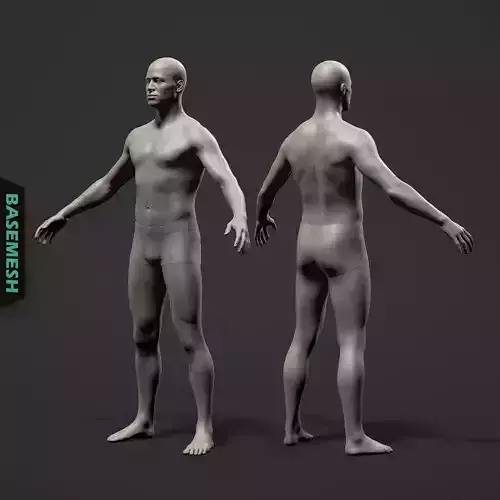 Average Male Body Basemesh 3D model