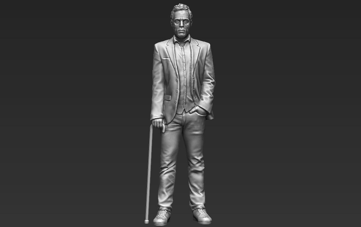 MD Gregory House 3D printing ready stl obj formats 3D print model_1