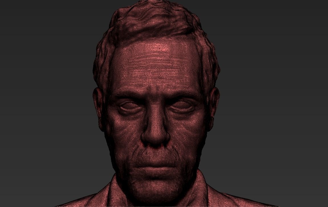 MD Gregory House 3D printing ready stl obj formats 3D print model_23