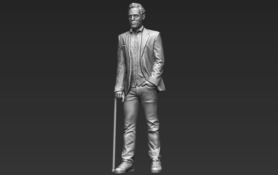 MD Gregory House 3D printing ready stl obj formats 3D print model_6