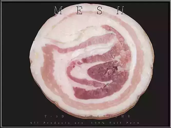 Slice of Pancetta Low-poly 3D model