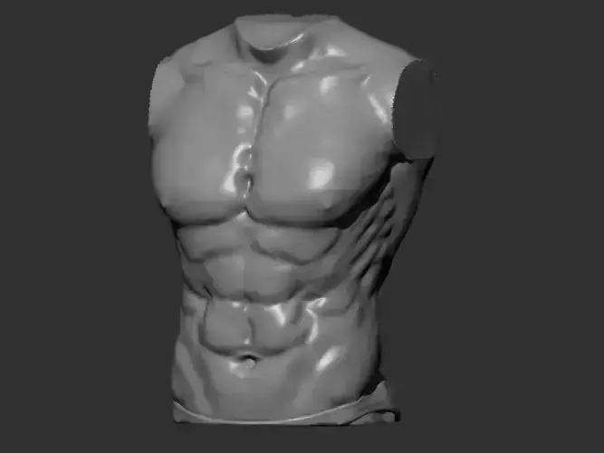 Man Torso