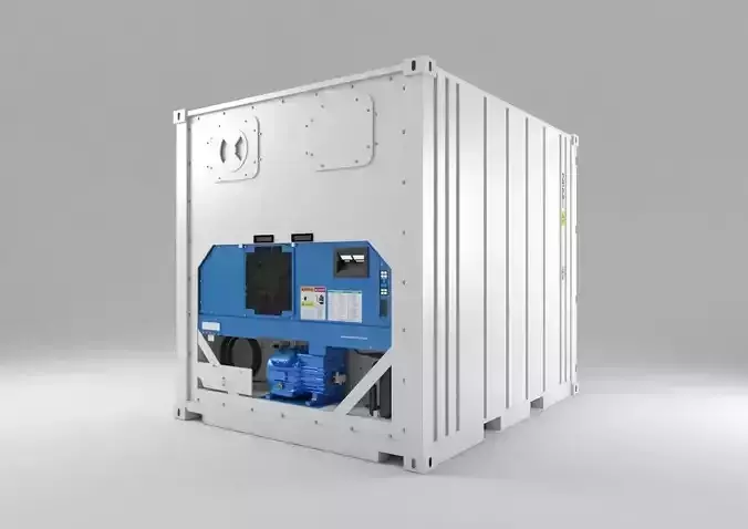 Container - 10 Reefer