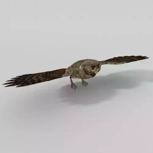 Owl bird Low-poly 3D model