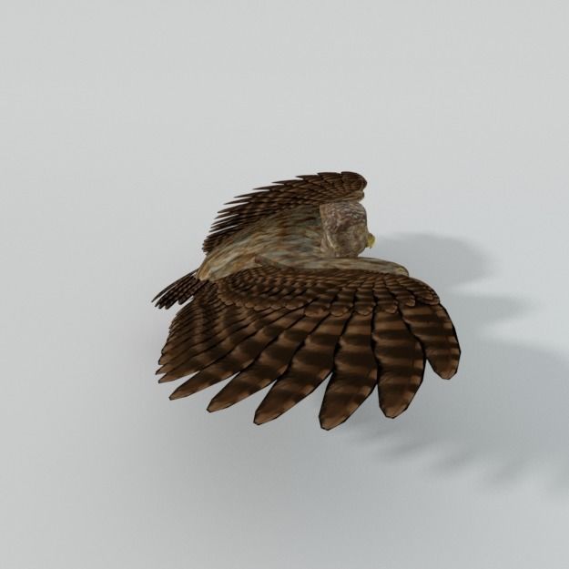 Owl bird Low-poly 3D model_4