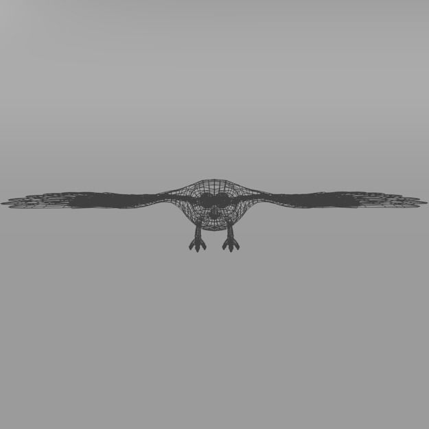 Owl bird Low-poly 3D model_5
