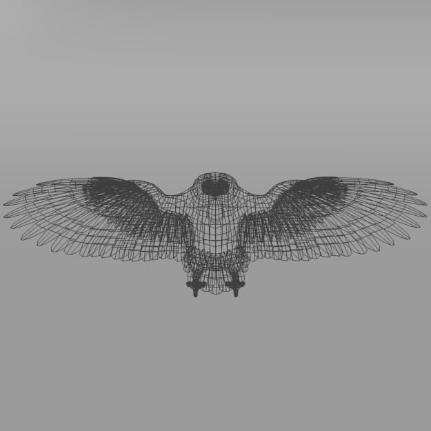 Owl bird Low-poly 3D model_3