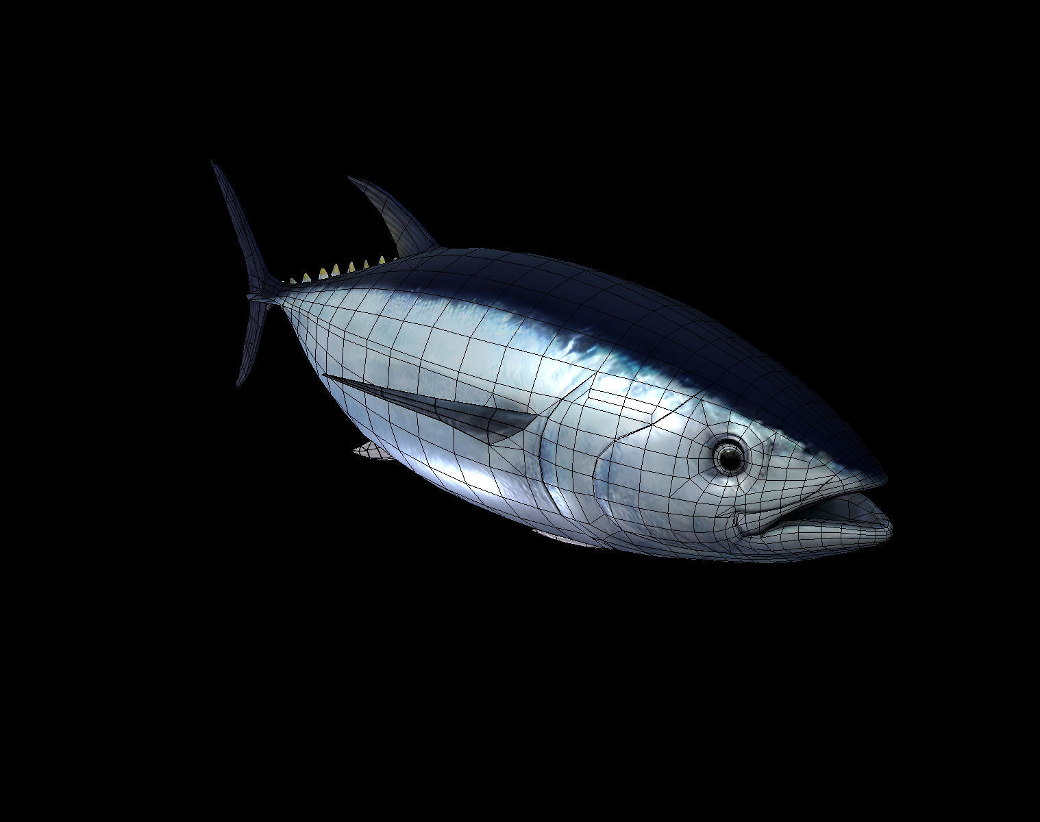 Tuna fish Low-poly 3D model_7