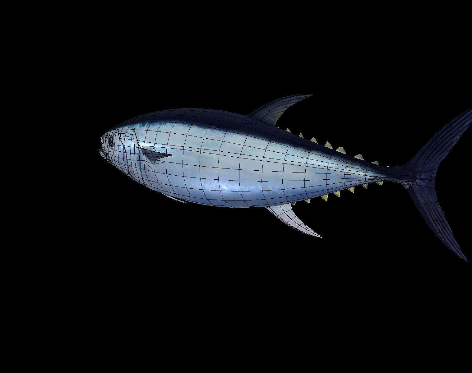 Tuna fish Low-poly 3D model_5