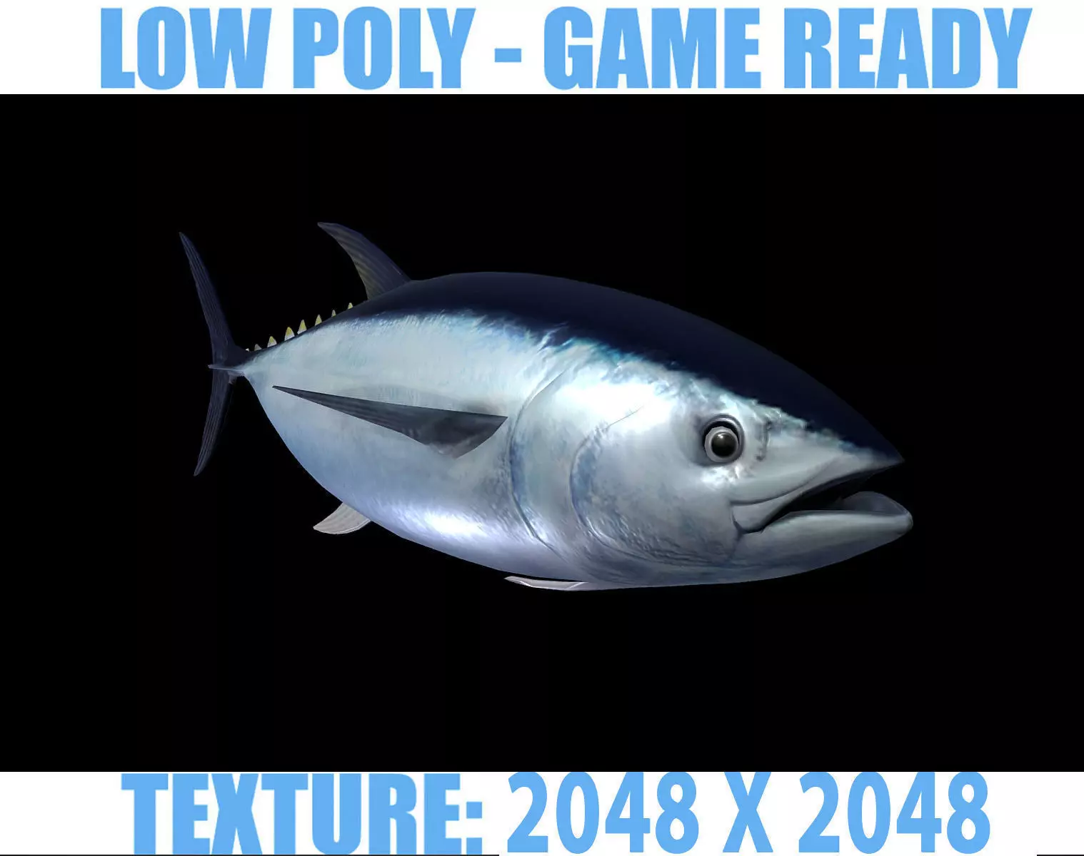 Tuna fish Low-poly 3D model_0
