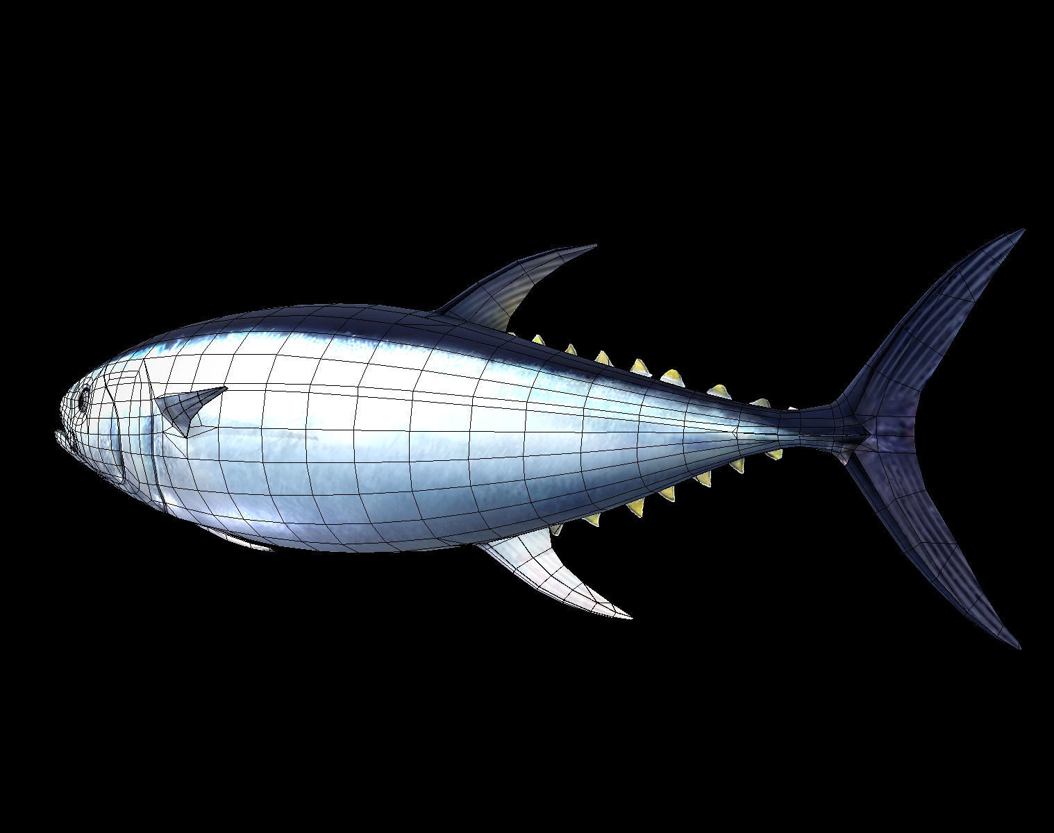 Tuna fish Low-poly 3D model_10