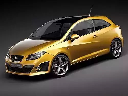 Seat Ibiza Cupra 2011