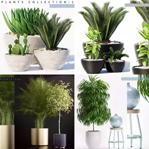 PLANTS COLLECTION 1 potted plant and stool