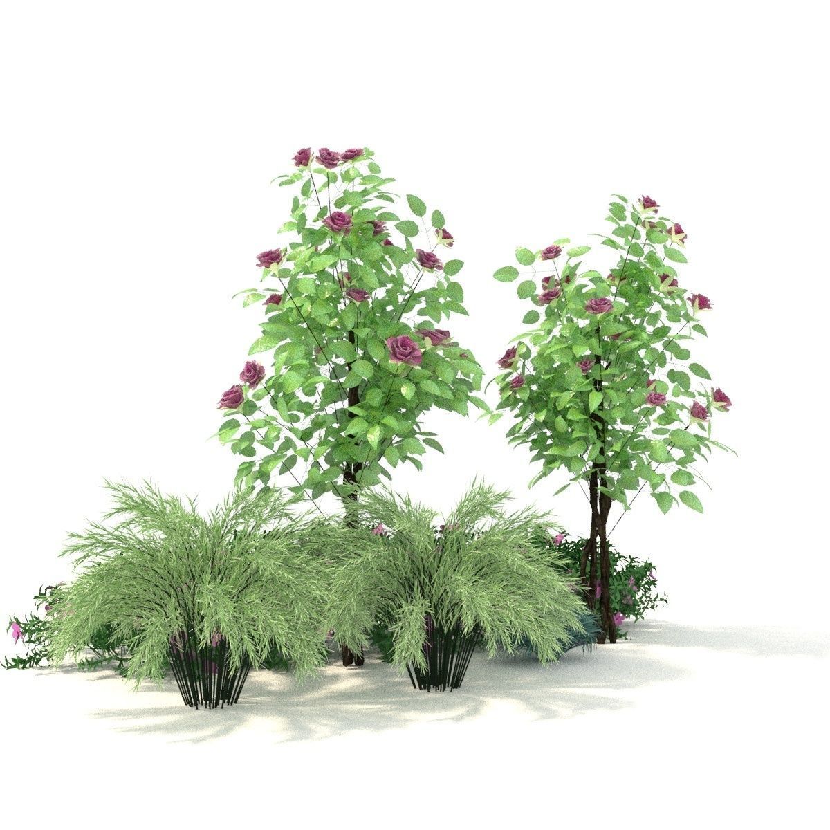 Plant 3D model 1 3D model_6