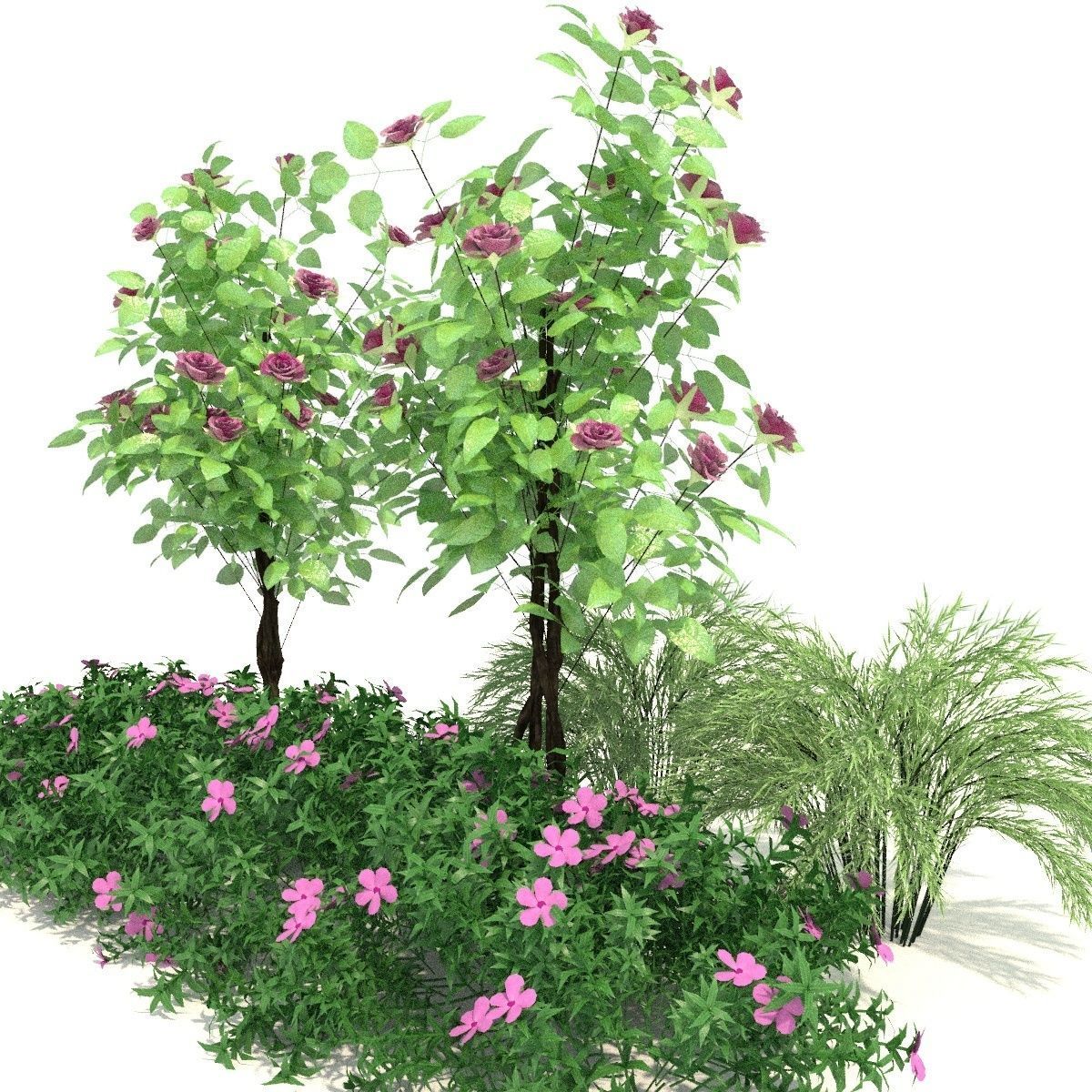 Plant 3D model 1 3D model_4
