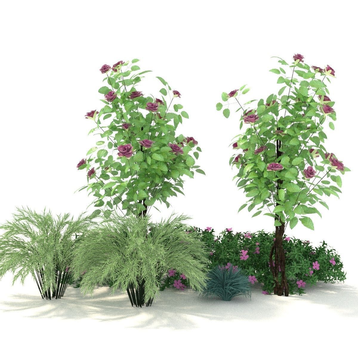 Plant 3D model 1 3D model_5