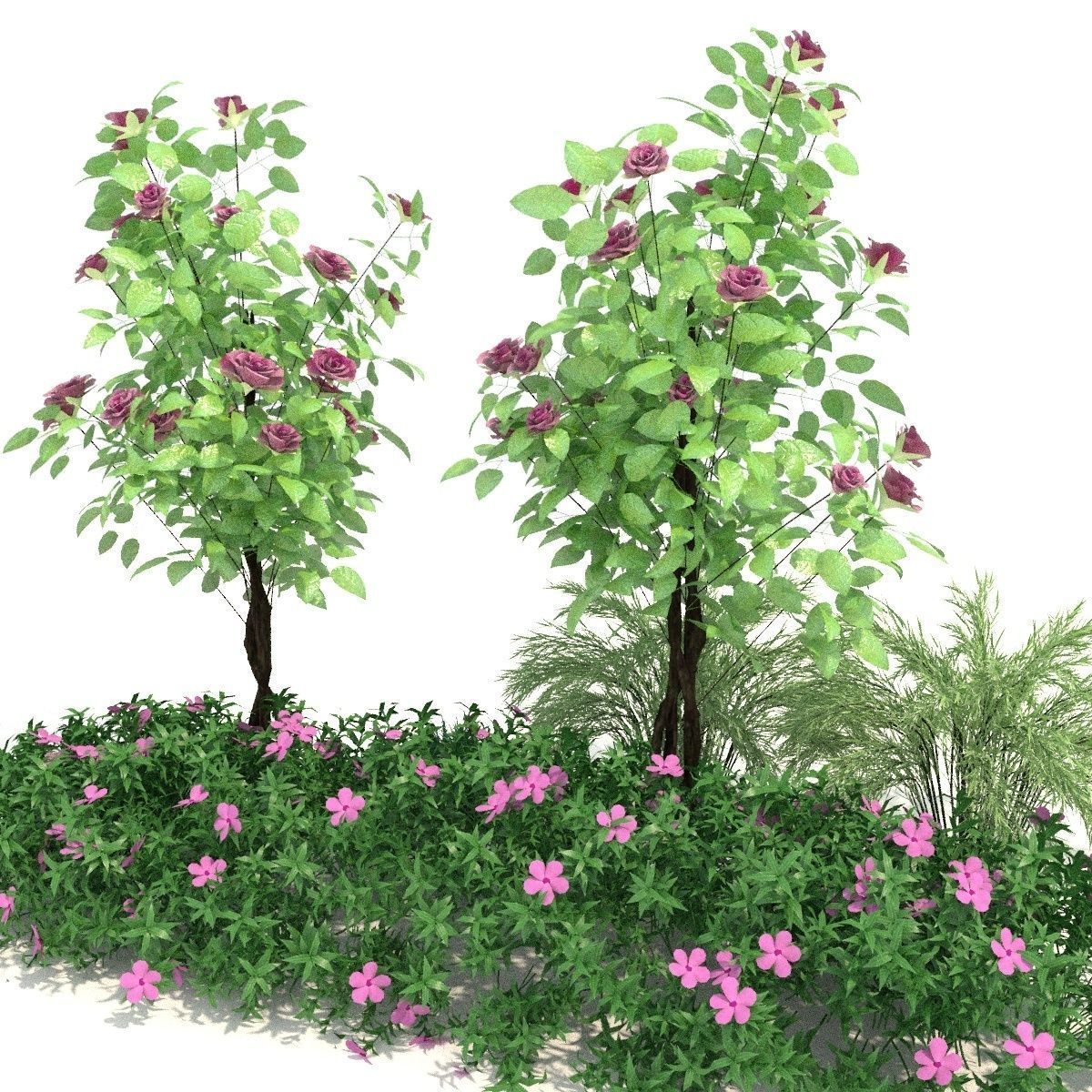 Plant 3D model 1 3D model_2