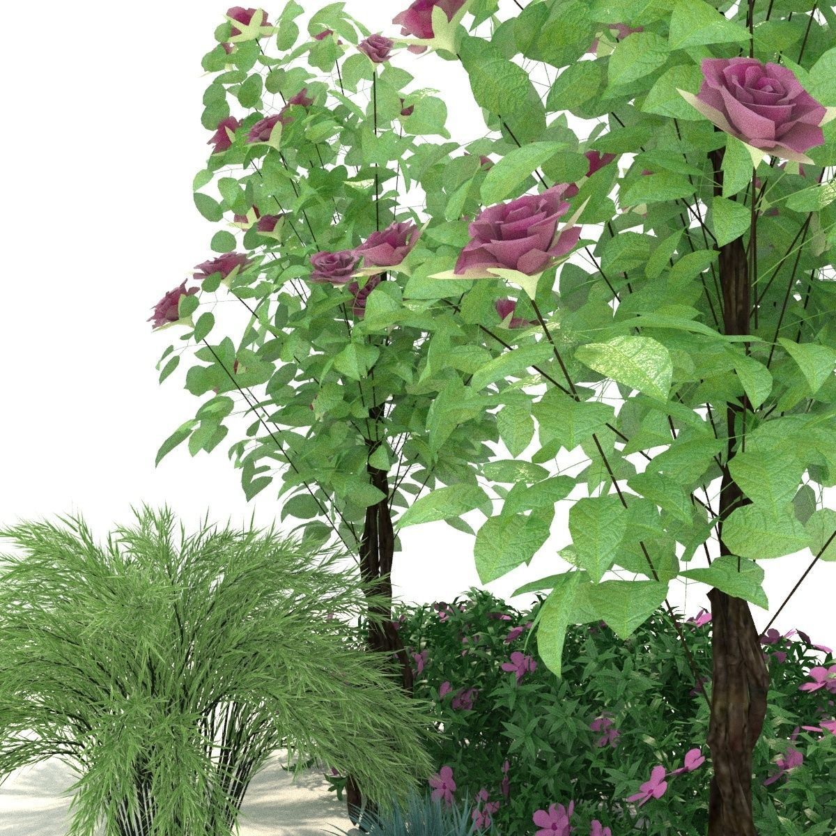 Plant 3D model 1 3D model_1