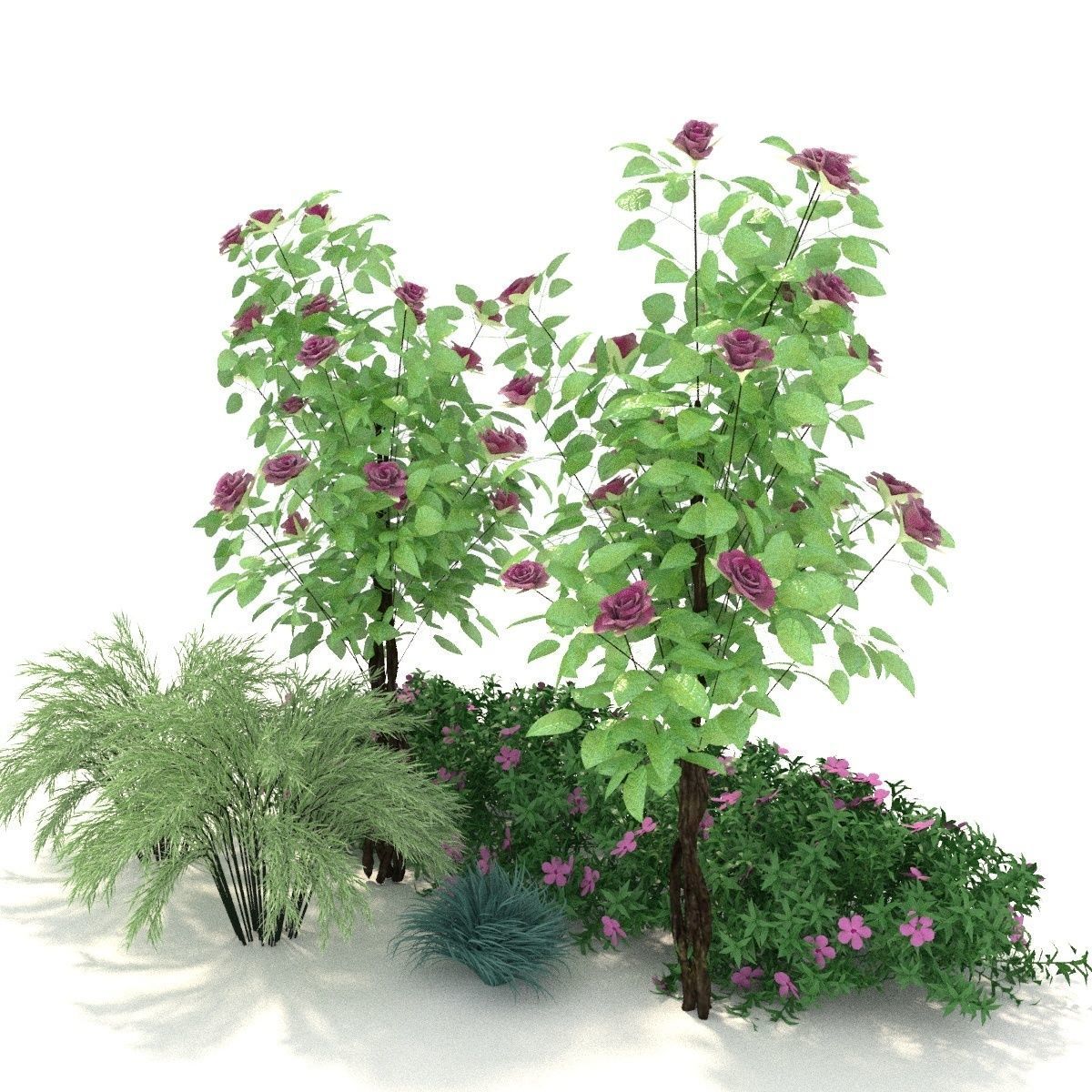 Plant 3D model 1 3D model_0
