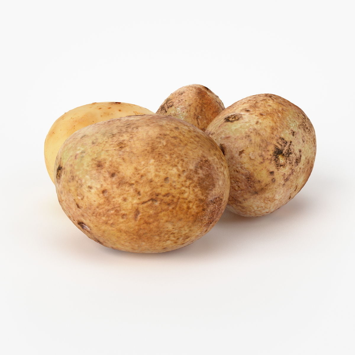Realistic Potato 3D Model .max .obj .fbx .c4d