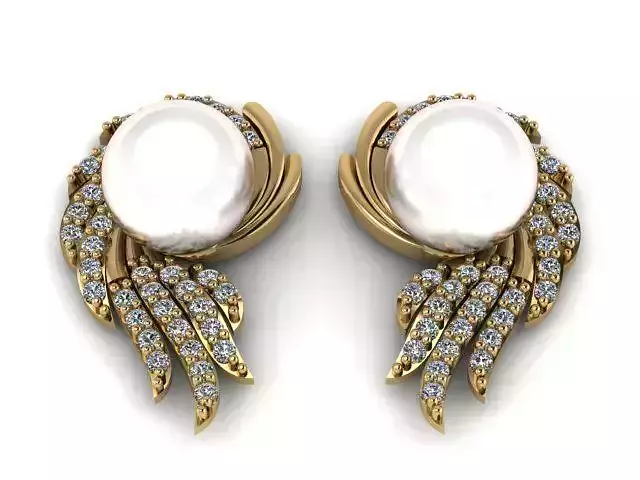 Earrings T00637