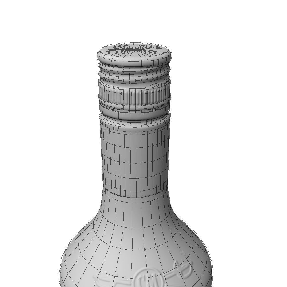 Captain Morgan Bottle Set 3D model_37