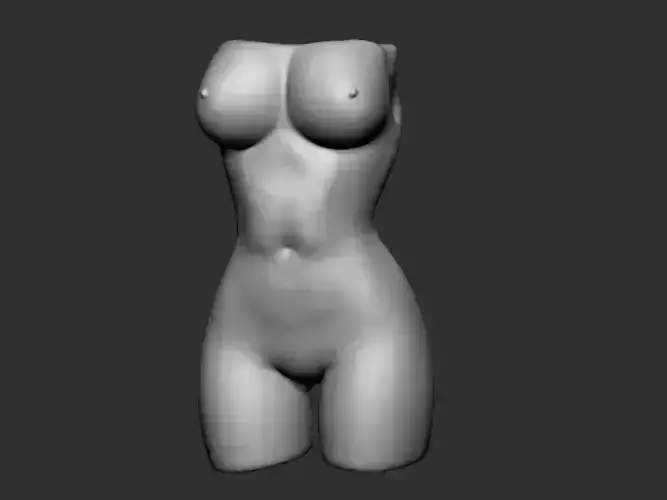 Woman Torso