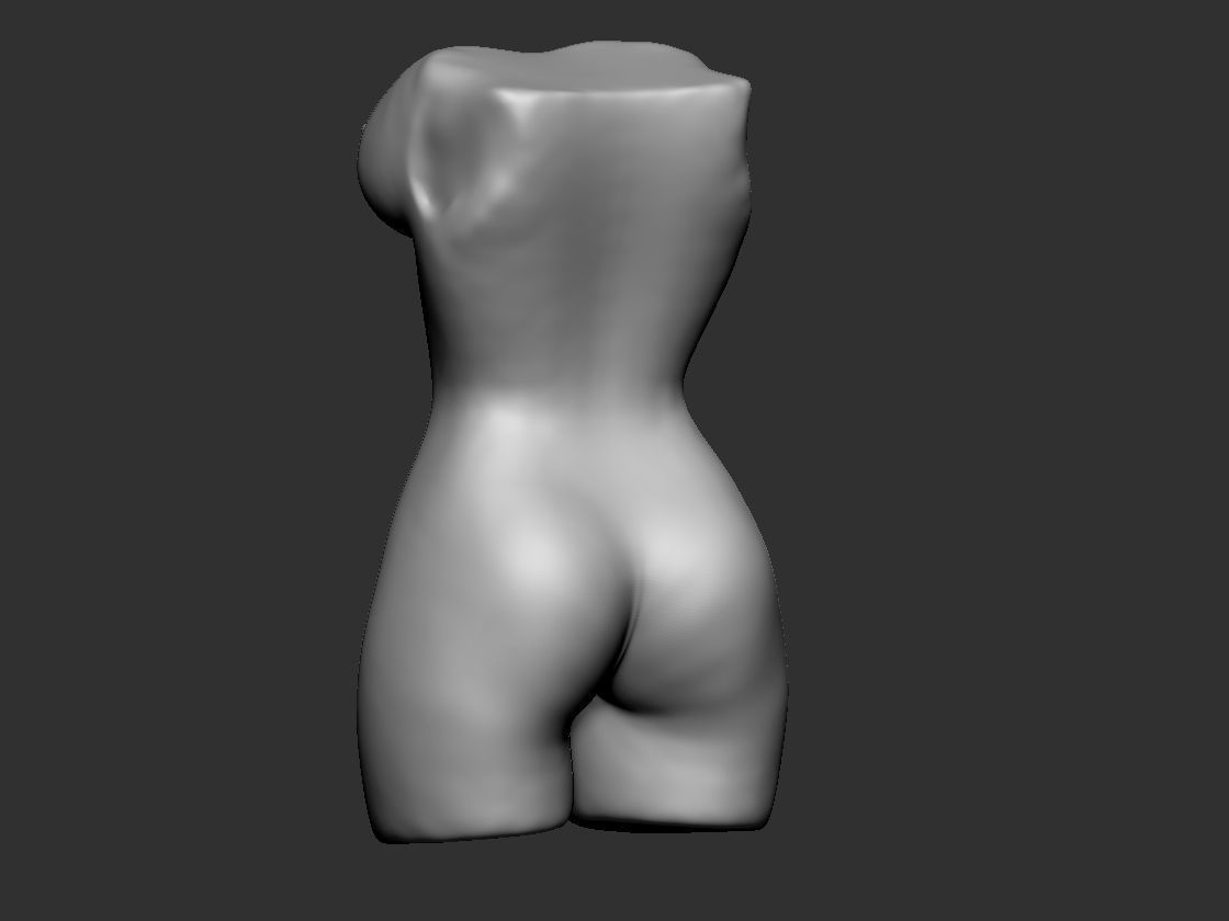 Woman Torso 3D print model_2