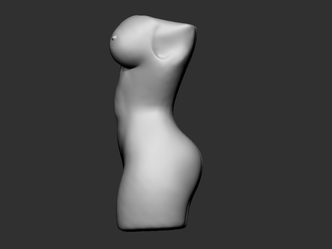 Woman Torso 3D print model_3
