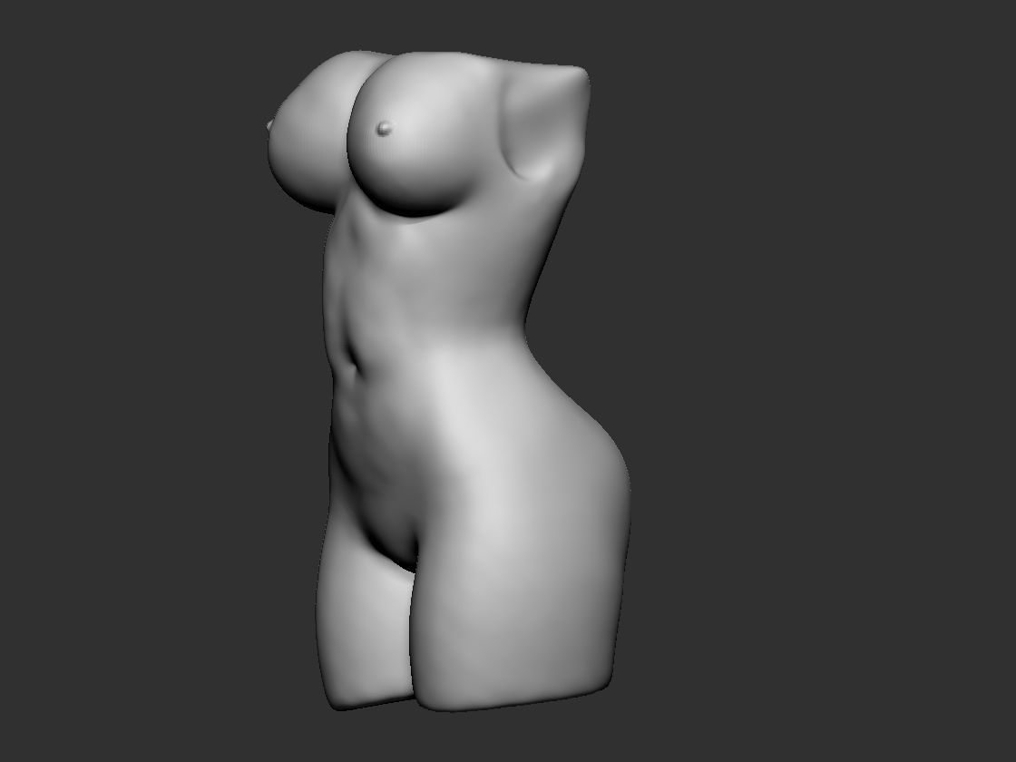 Woman Torso 3D print model_1