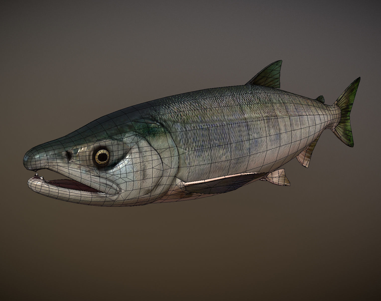 Salmon sockeye Low-poly 3D model_6