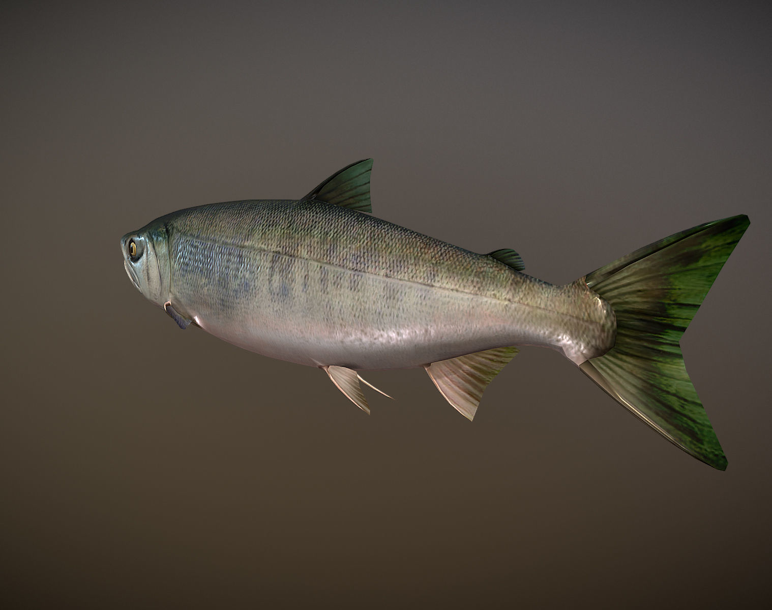 Salmon sockeye Low-poly 3D model_3