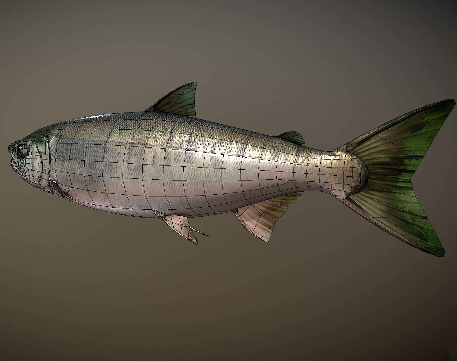 Salmon sockeye Low-poly 3D model_8