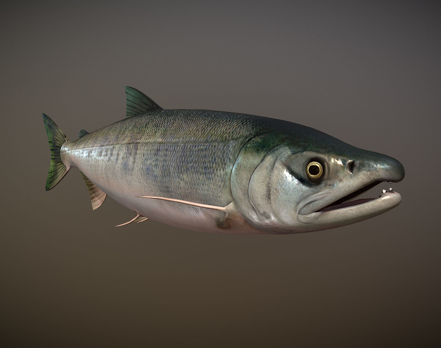 Salmon sockeye Low-poly 3D model_1