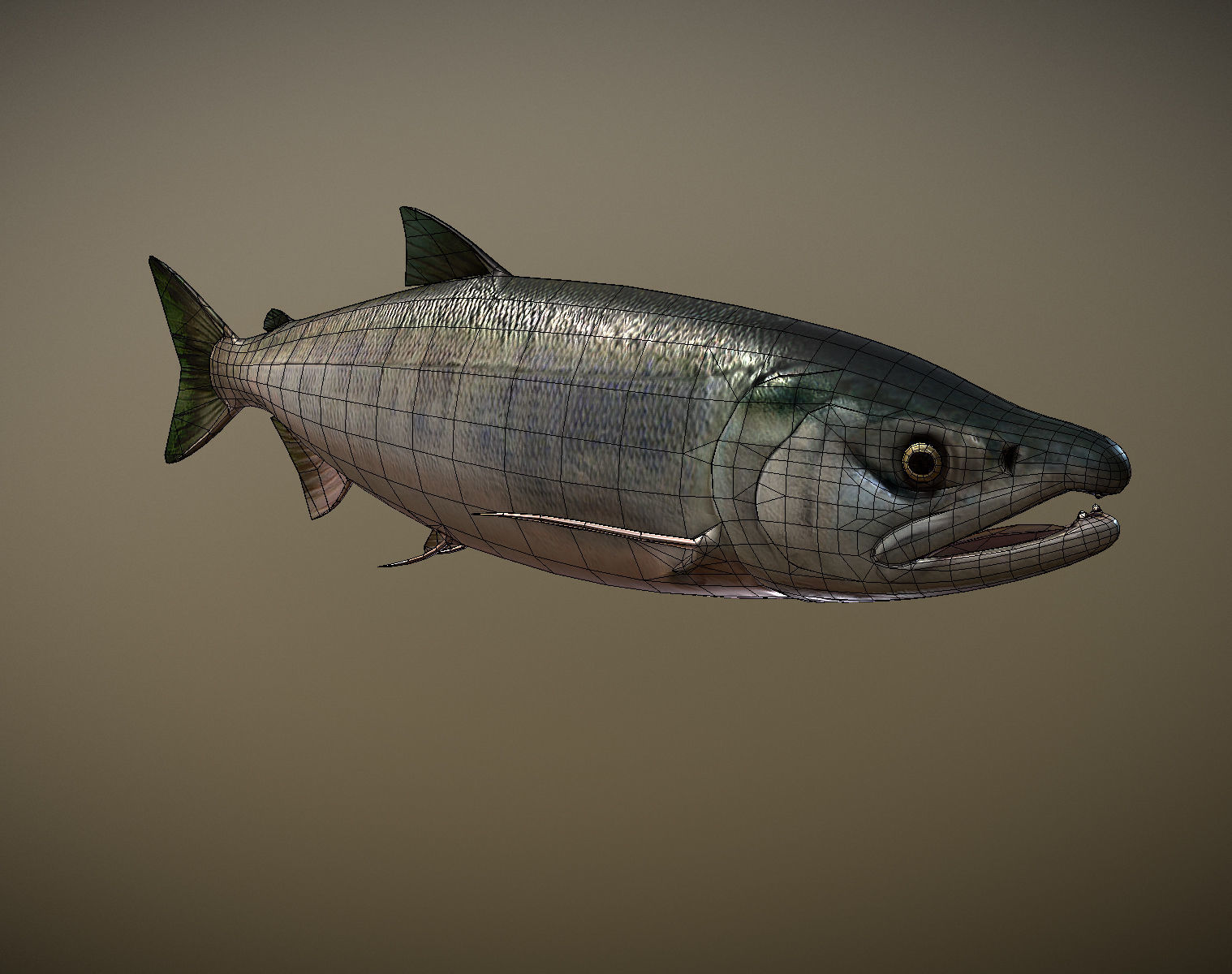 Salmon sockeye Low-poly 3D model_7