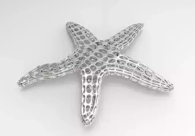 Starfish Voronoi