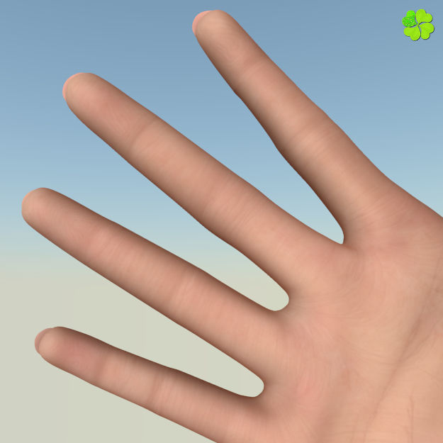 Ada basic female model low poly Low-poly 3D model_20